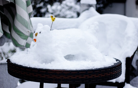 大雪的趣味