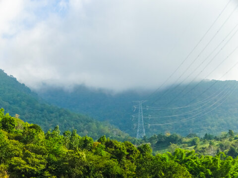 群山植被