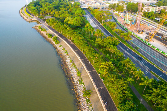 深圳福田红树林