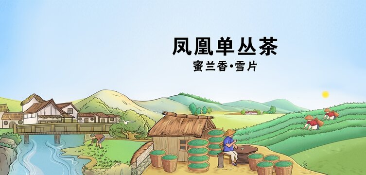 鳳凰單叢茶烏龍茶包裝手繪插畫