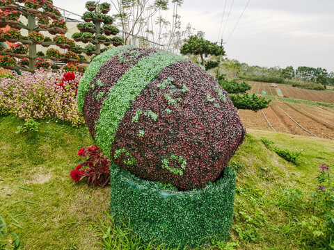 北部湾花卉小镇园艺桶