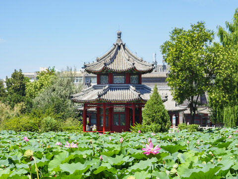 保定古莲花池