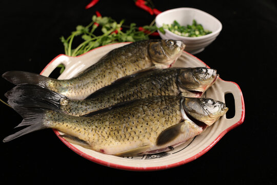 鯽魚