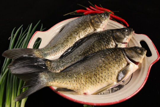 鯽魚