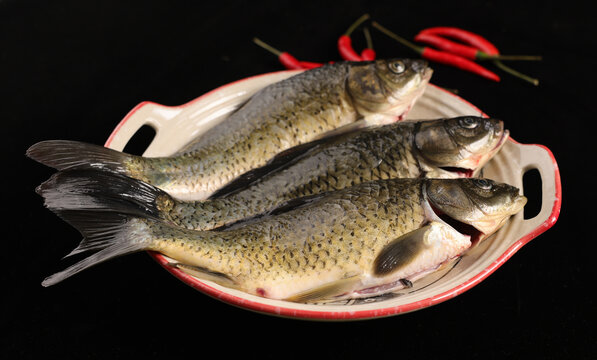 鯽魚