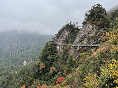 五彩缤纷的山间秋色