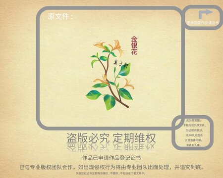 金銀花