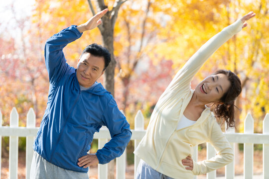 老年夫妇在公园里运动健身