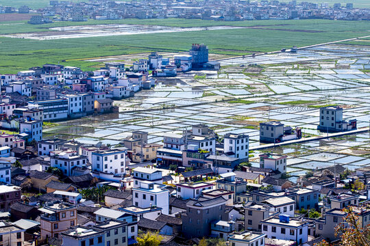 三川田园