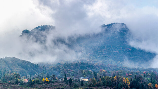 半山彩林半山雪