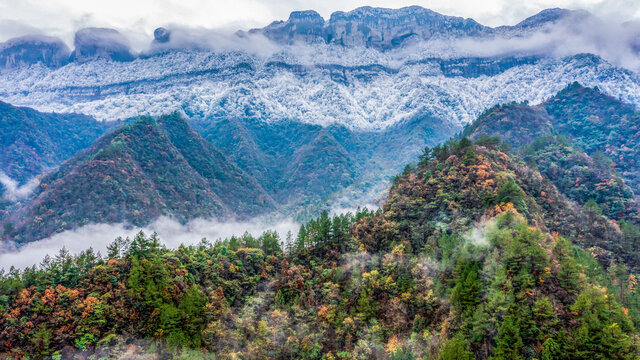 半山彩林半山雪