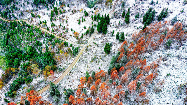 半山彩林半山雪