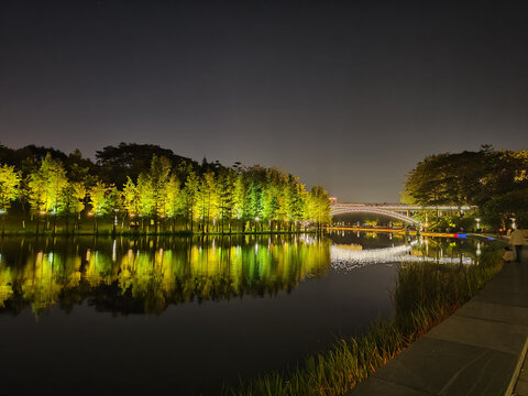 礌岗公园夜景