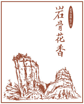 武夷山岩茶包装