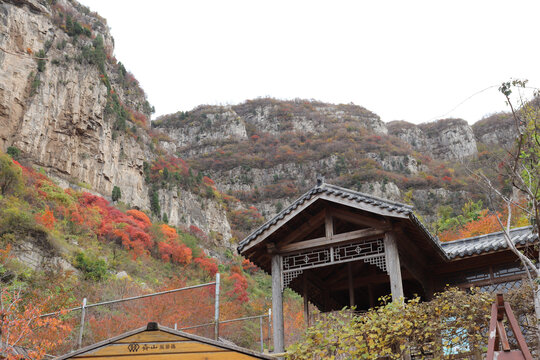 高山画廊