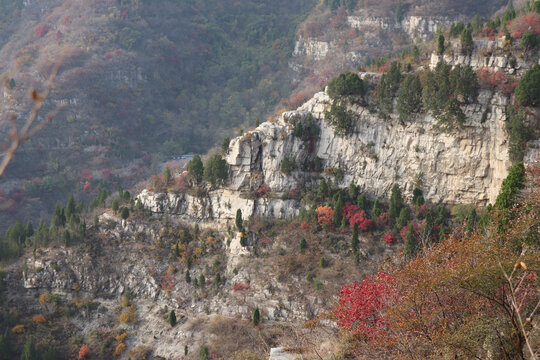 高山俯视