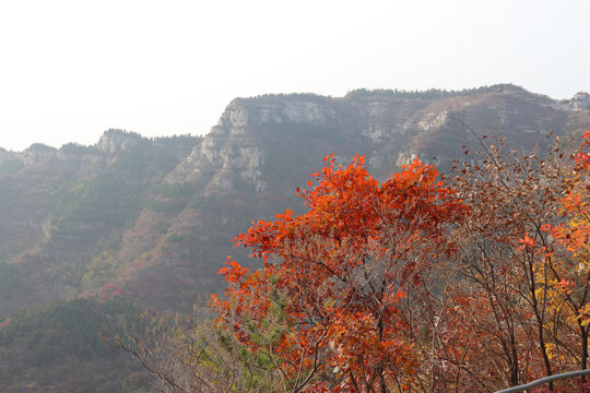 红叶山谷