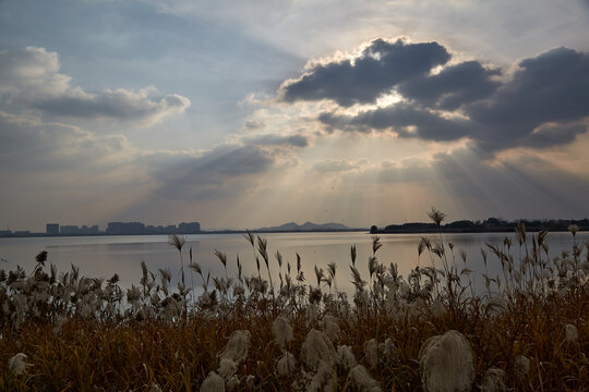 芜湖市龙窝湖湿地公园