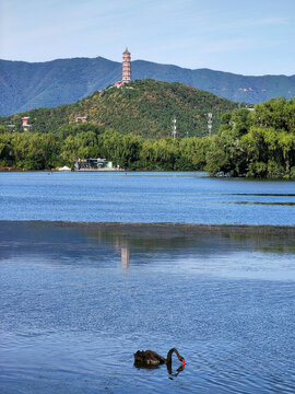 玉泉山玉峰塔