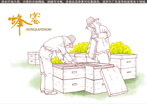 養(yǎng)蜂人插畫線描版
