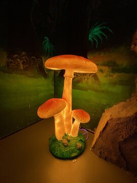 蘑菇灯饰