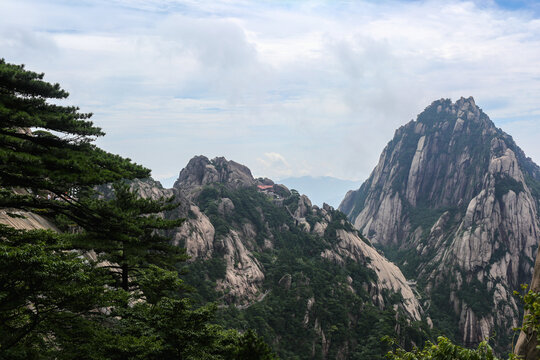 黄山松山峰