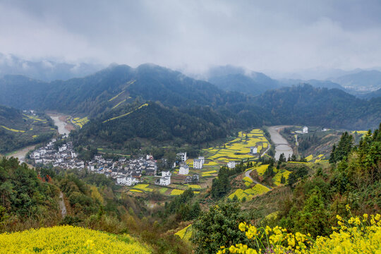 歙县石潭下汰村油菜花