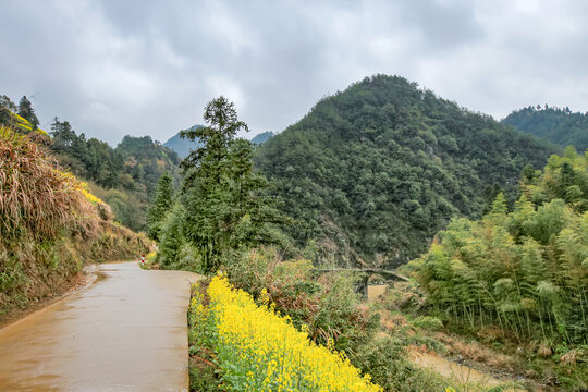 歙县石潭村村外公路