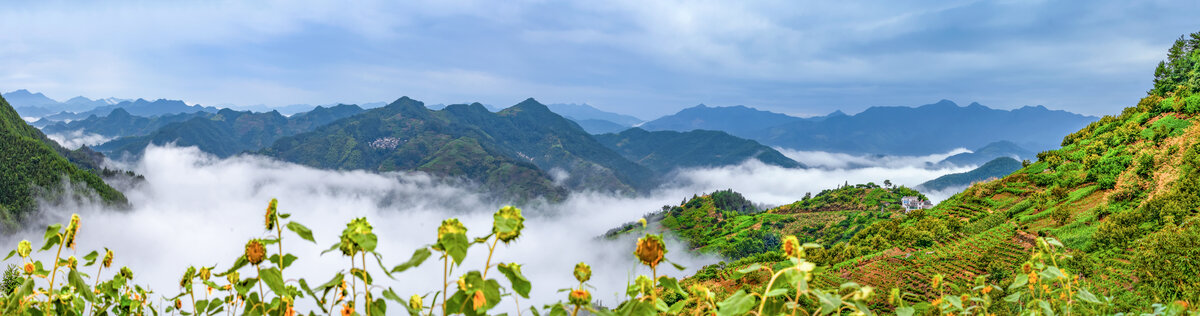 歙县石潭云海全景图