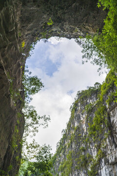 百色大石围马蜂洞