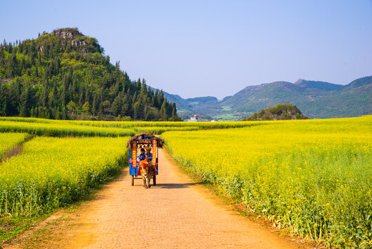 田园风景