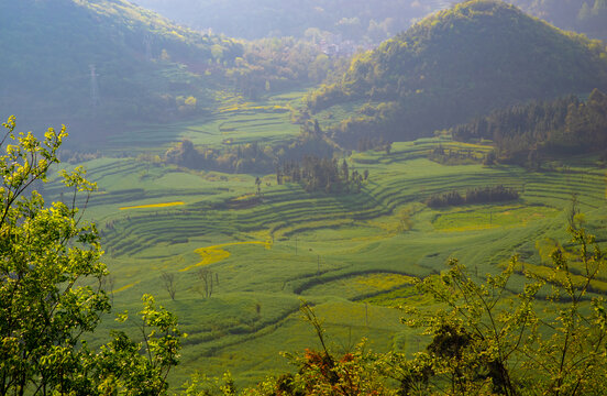 田园风景