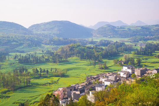 田野风景