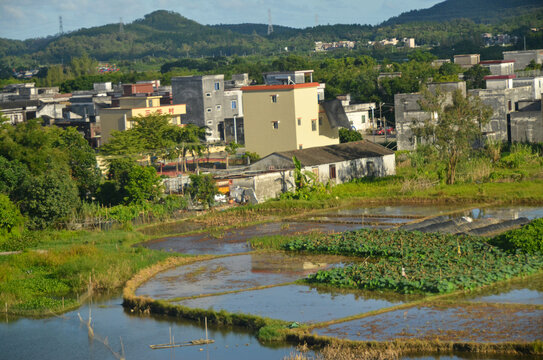 乡镇农村