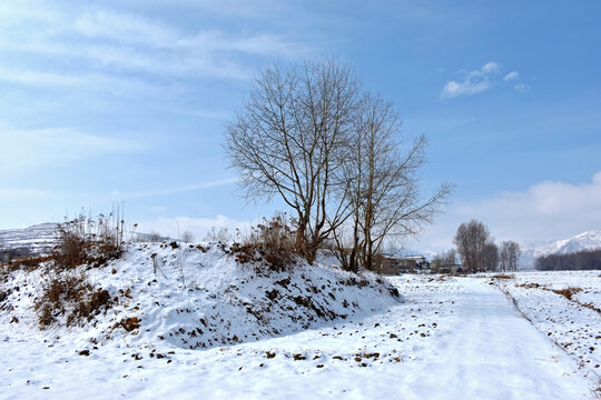 乡村雪霁