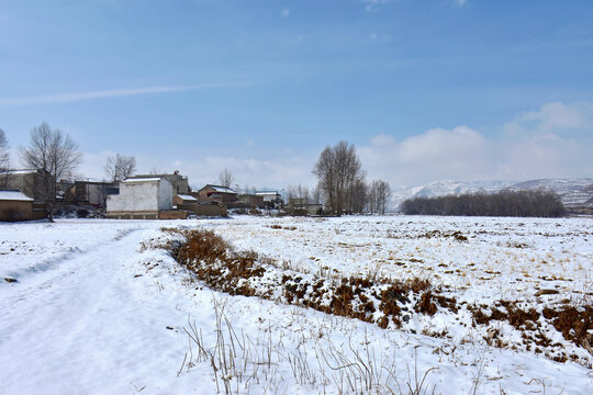 乡村雪霁