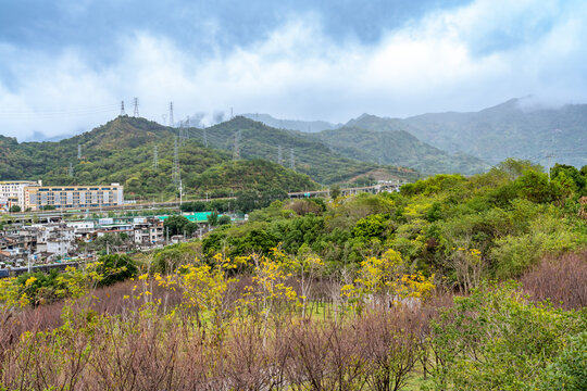 牛岗山公园