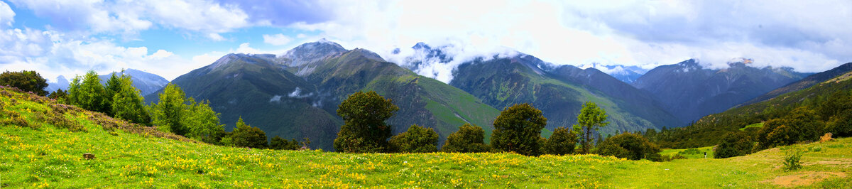 山顶草地