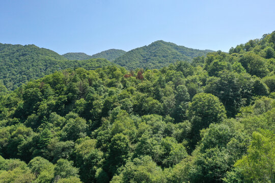 航拍宝鸡大水川风景区