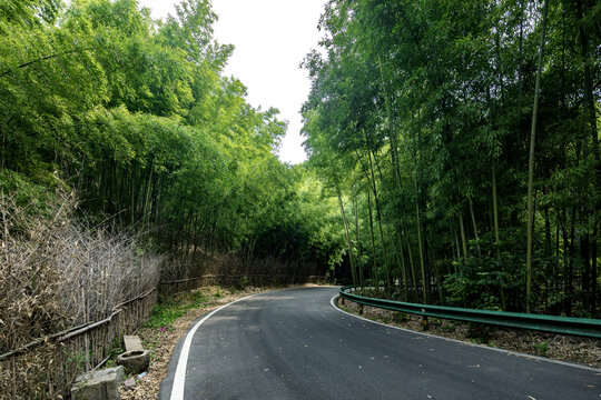 竹海公路景观