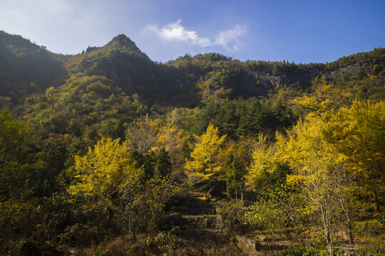 秋天的田野