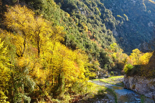 高山流水与山景