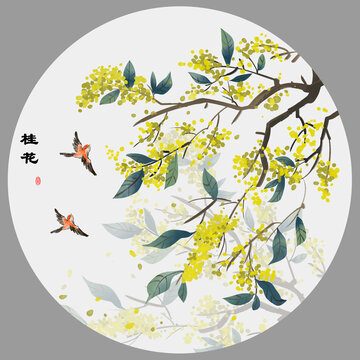 桂花圖