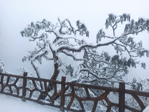 雪景树林积雪雪山雾凇