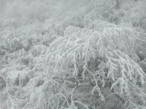 雪景树林积雪雪山雾凇