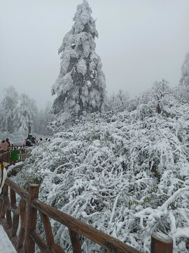 雪景树林积雪雪山雾凇