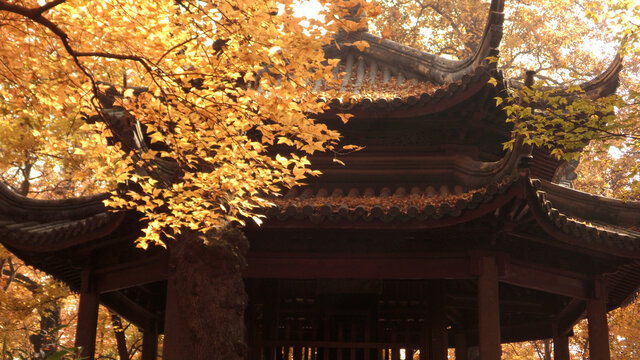 天平山秋景