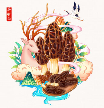 羊肚菌手繪插畫(huà)
