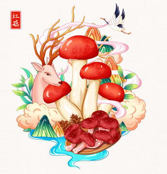 红菇插画手绘