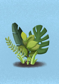 扁平创意植物插画